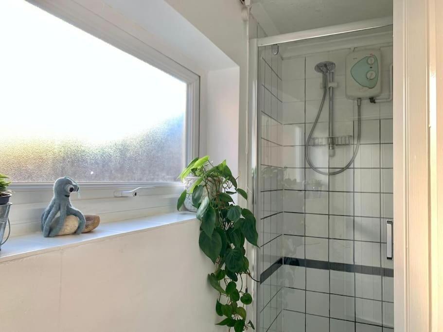 Cute Cottage 4 Mins From Cafes Station And Sea St Leonards-on-Sea ภายนอก รูปภาพ